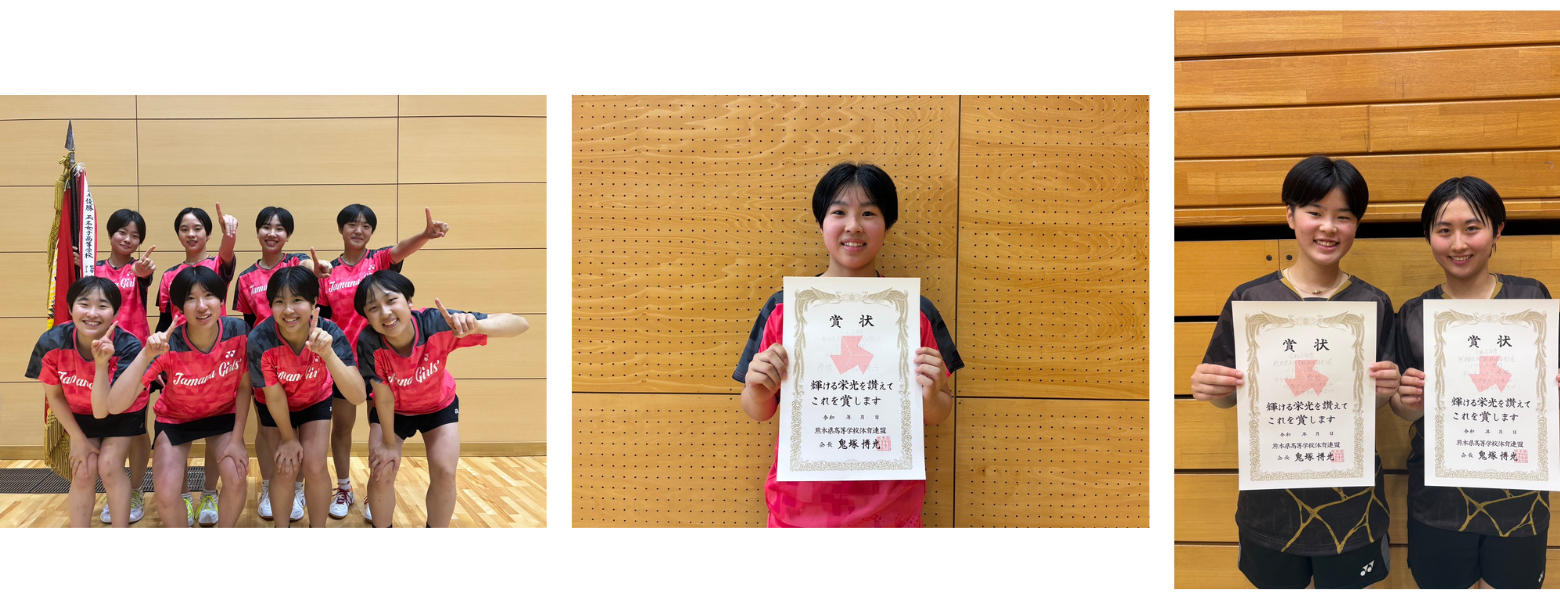 活動歴および当時の関連ビジュアル記録